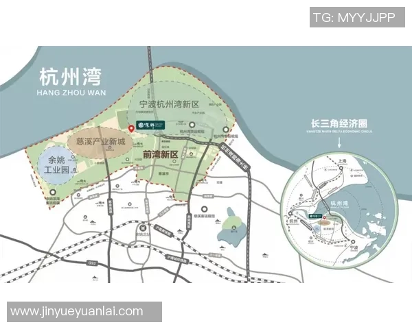 杭州排球队实力对比深度解析及未来发展趋势探讨